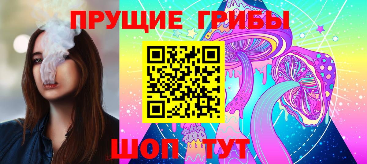 Псилоцибиновые грибы GOLDEN TEACHER Астрахань